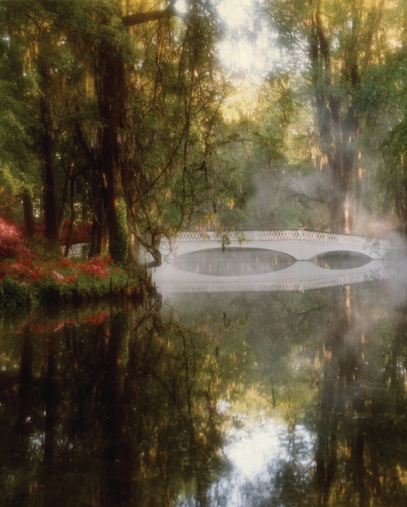 Magnolia Plantation Tour