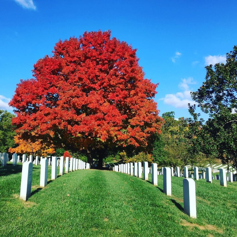 Arlington National Cemetery