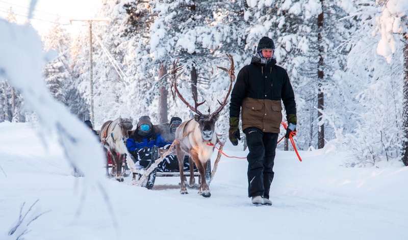 Reindeer Sleigh Ride