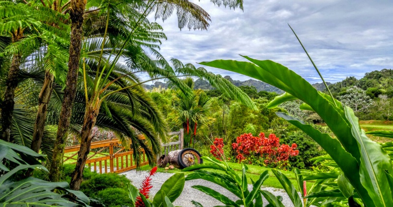 Hacienda Horizonte Farm Tour