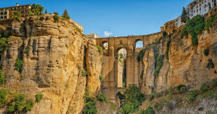 Olive Oil Experience in Ronda