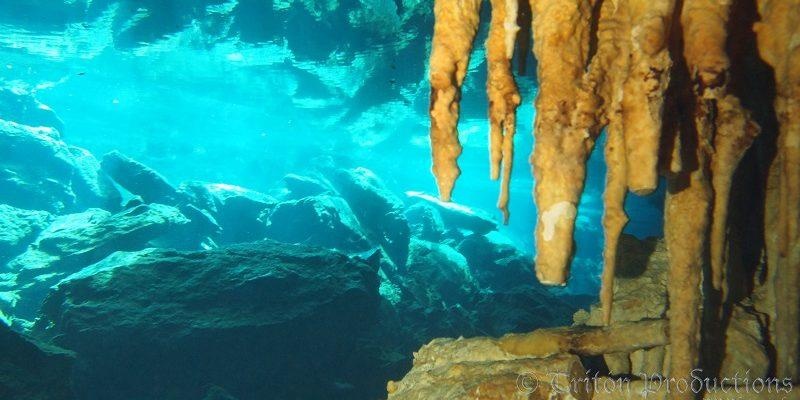 Tajma Ha Cenote Dive (From Riviera Maya)