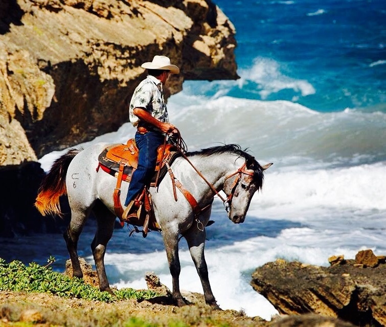 Private Paniolo Experience