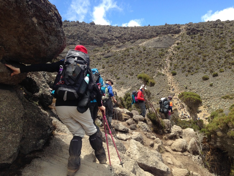 7-Day Machame Route Kilimanjaro Adventure