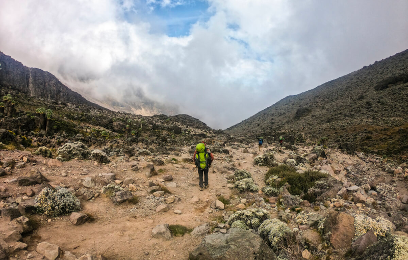 9-Day Northern Circuit - Kilimanjaro Climb