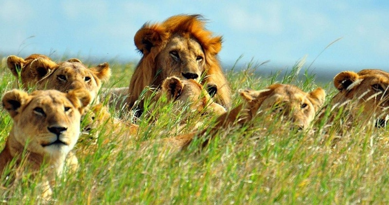 13 - DAYS TRIP ESSENTIAL UGANDA