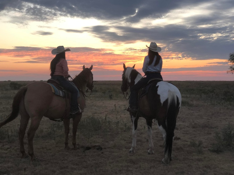 2 Hour Sunset Horseback Riding Experience