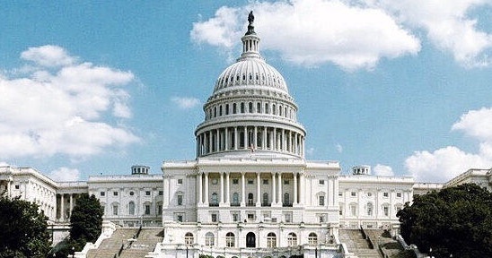 Combo: DC National Mall + Capitol Hill Walking Tour - Private