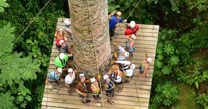 Rainforest Canopy Zipline