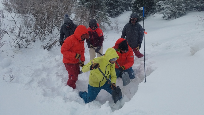 AIARE 1 Avalanche Safety Course By Snowshoe