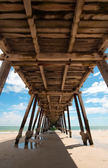 Adelaide Coast Jetties Beaches Private Tour