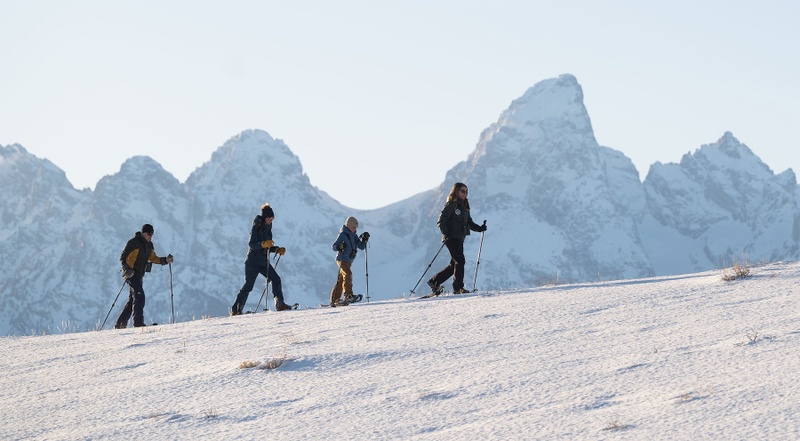 Half Day Snowshoe Adventure (Leisurely Paced)