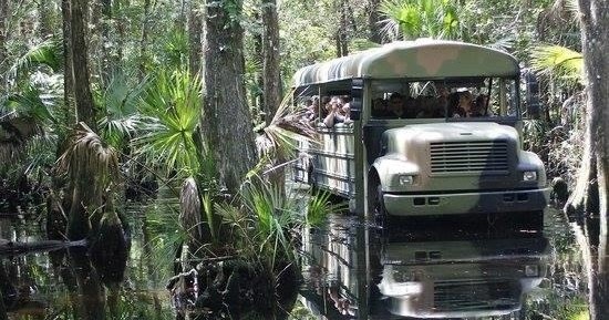 Swamp Buggy Eco Tour