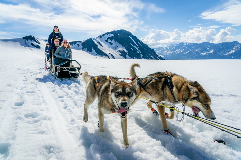 Helicopter & Glacier Dogsled