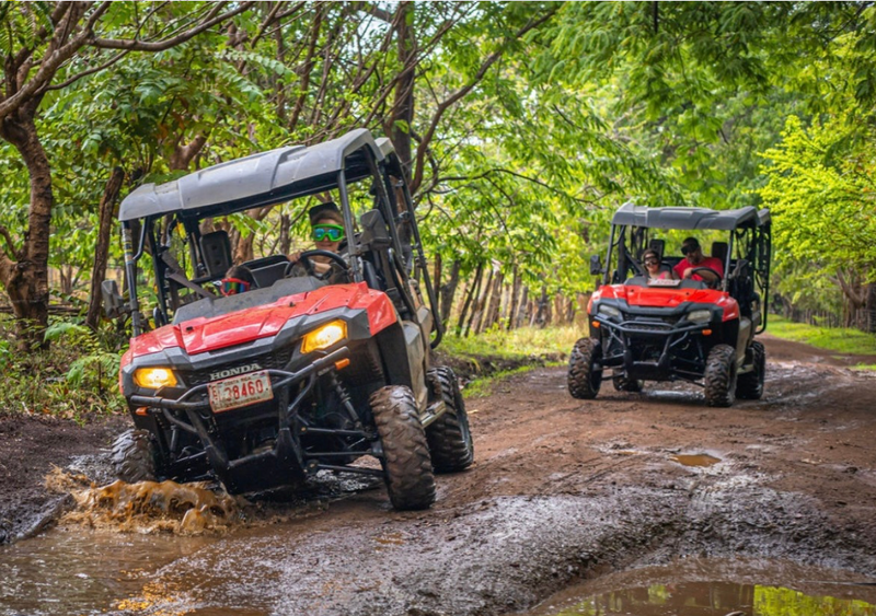 2 Hour UTV Buggy Secluded Beach Tour