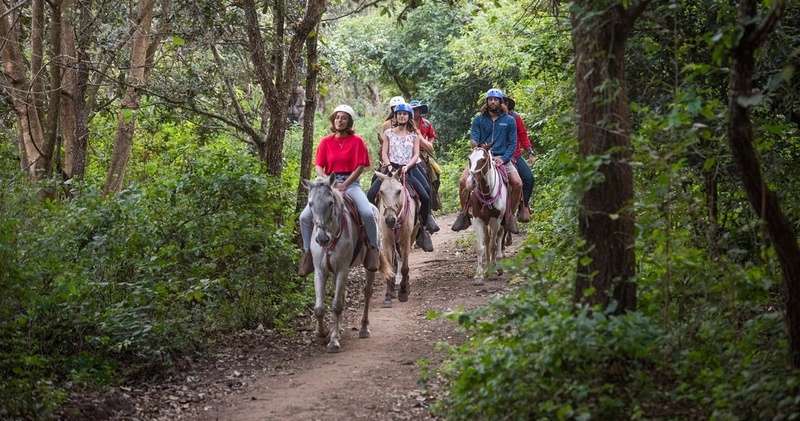 Horseback Riding Half Day Tour