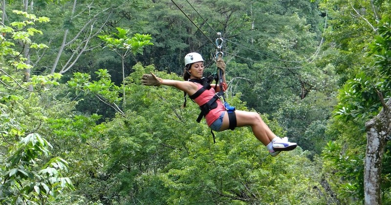 Rainforest Aerial Tram