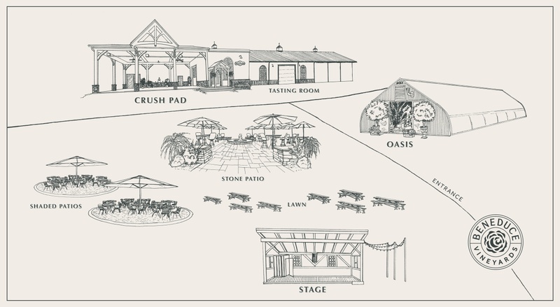 Sunday Picnics- All Ages Welcome!