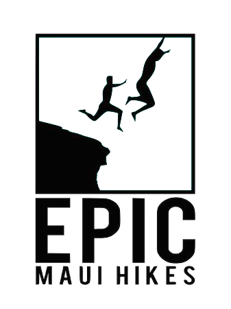 Sacred Hawaiian Wellness Retreat