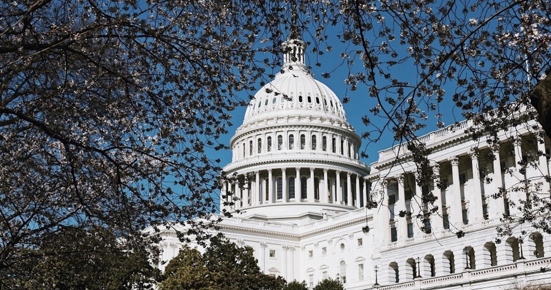 Combo: DC National Mall + National Gallery of Art Tour - Private