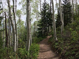 Guided Hike in Morgan