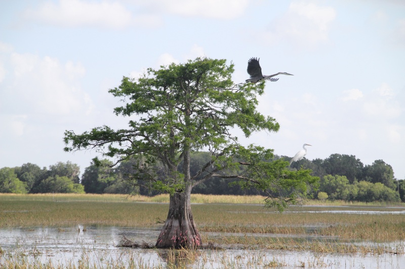 30 Minute tour (Reservation time)
