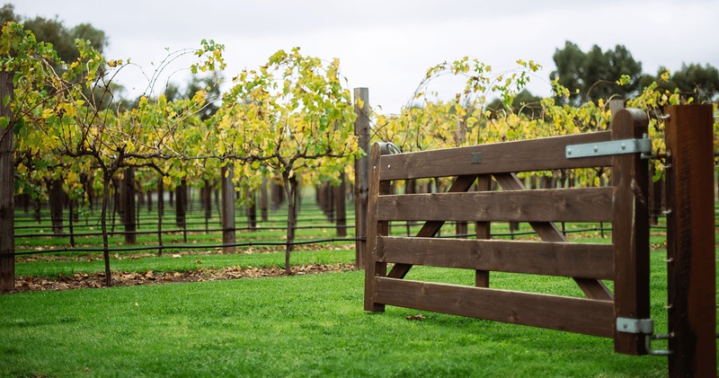 Barossa Sensations Tour