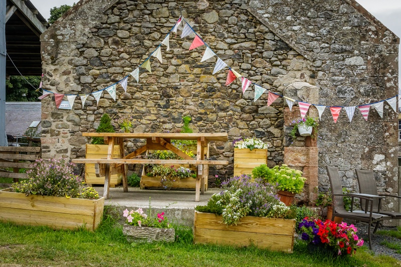 Paca Picnic & Ice Cream