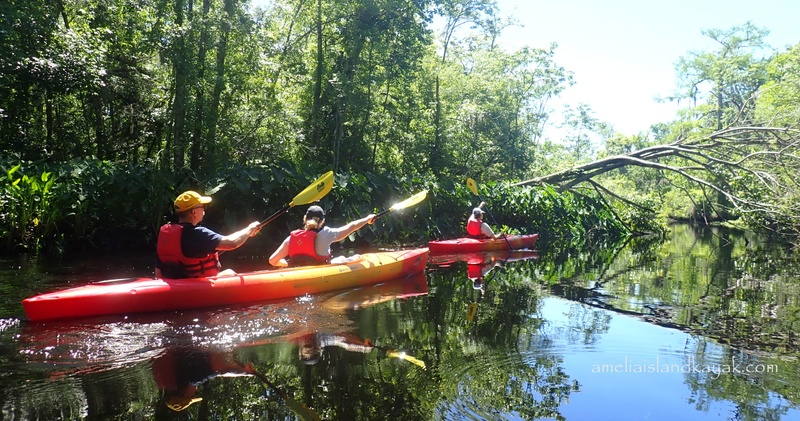 Kayak Rentals (Self-Guided)