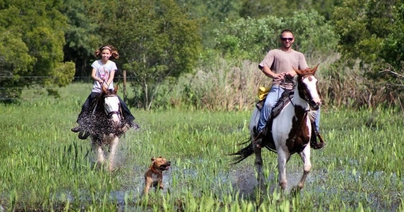 1 Hour Casual Trail Ride