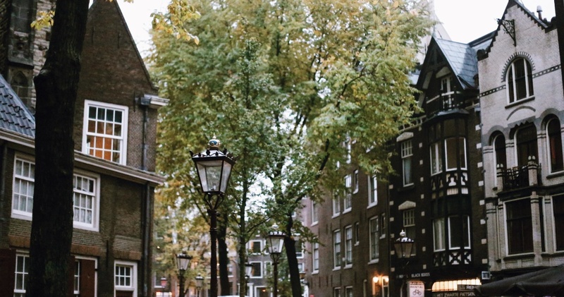 Combo: Van Gogh Museum + Red Light District Guided Tour - Private (DUTCH)