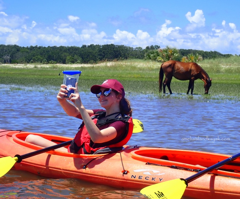 Cumberland Island Tour