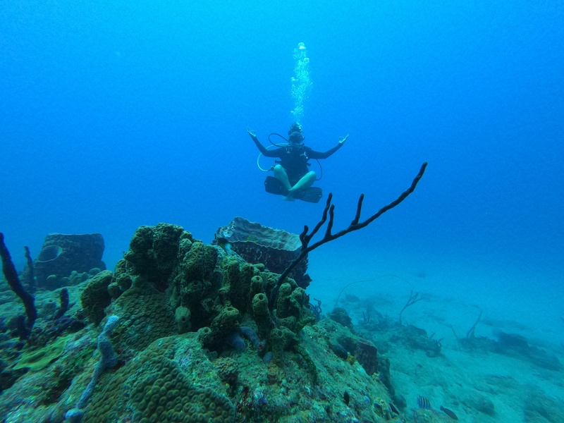 SSI Specialty Certifications