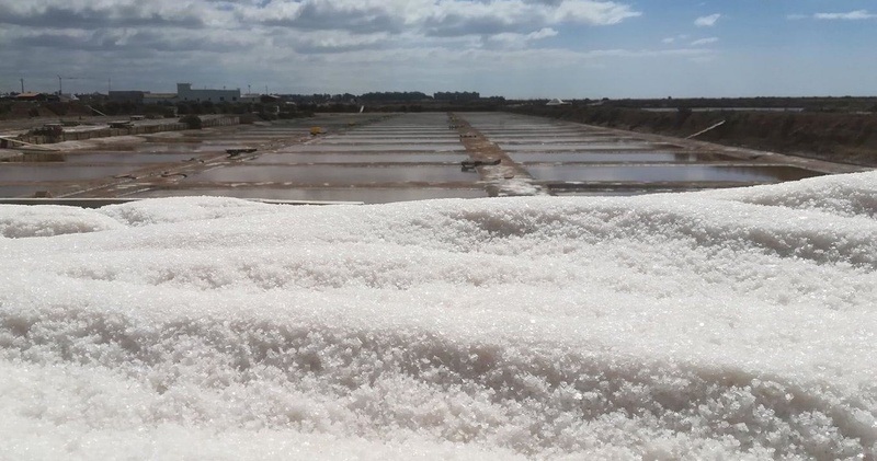 Visit to the Salt Pans
