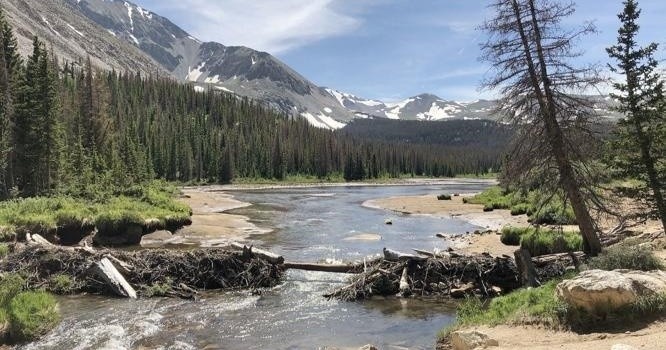 Full Day - Browns Lake