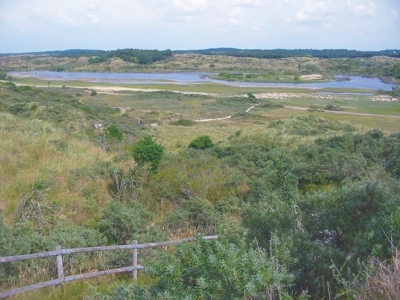 Huur 3 weken - Bloemendaal