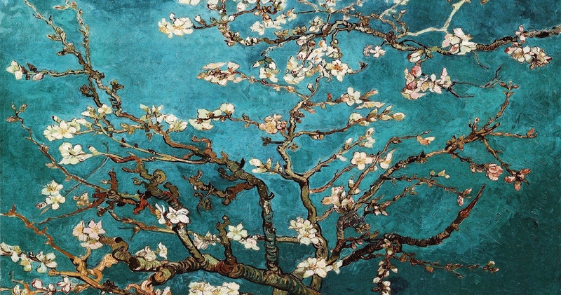 Van Gogh Museum Guided Tour - Semi-Private (ENGLISH)