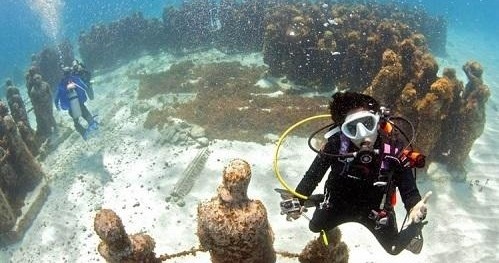 PADI Scuba Diver Certification