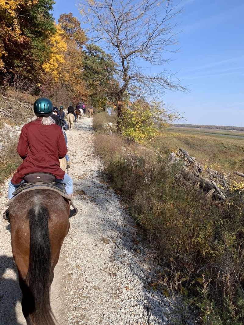 Guided Trail Rides