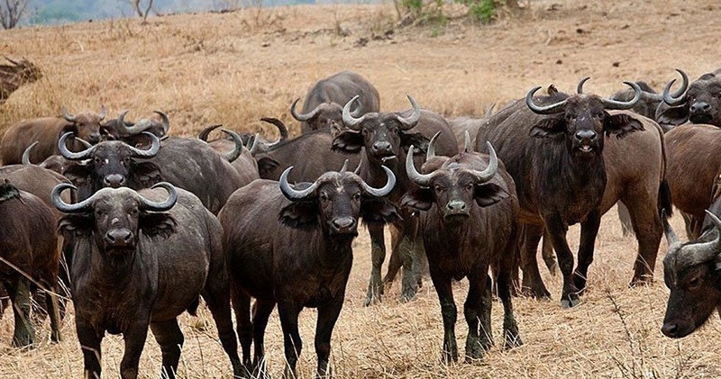 8 - DAYS  KIDEPO VALLEY NATIONAL PARK AND SIPI FALLS