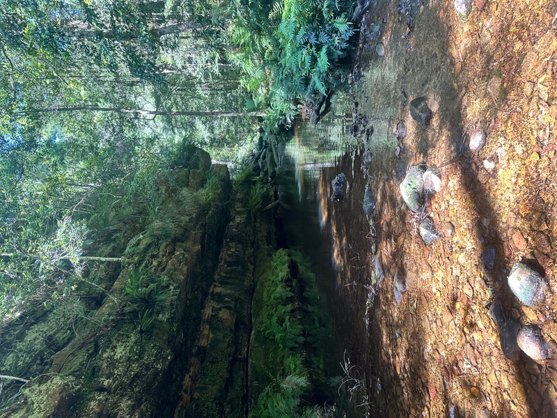 Guided Hike: Grand Canyon