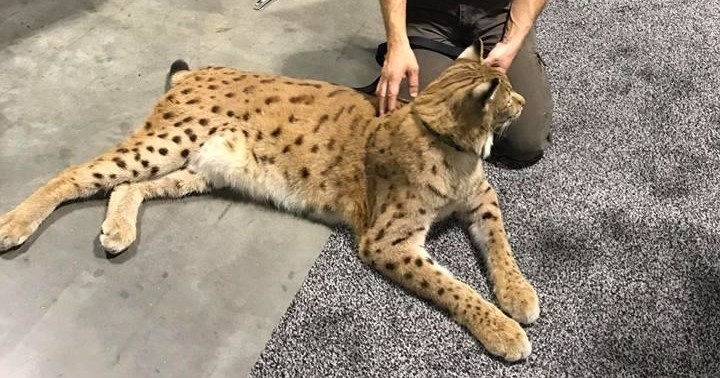 Extreme Tour With the Owner, Dr. Ed Laquidara