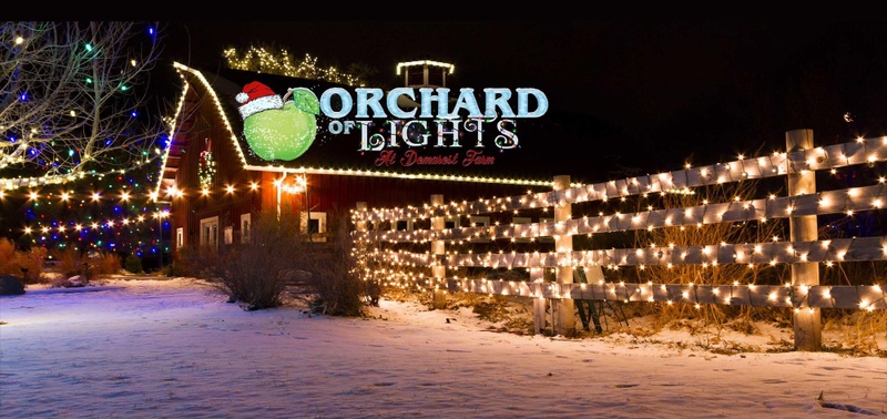 Orchard of Lights