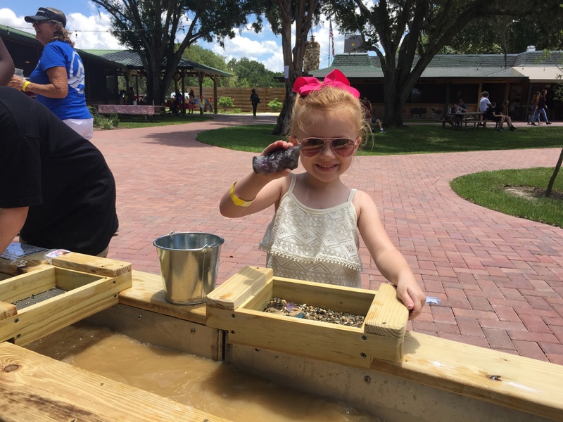 Gem Mine & Butterfly