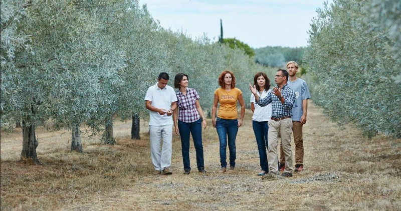 Visit to the Olive Oil Mill