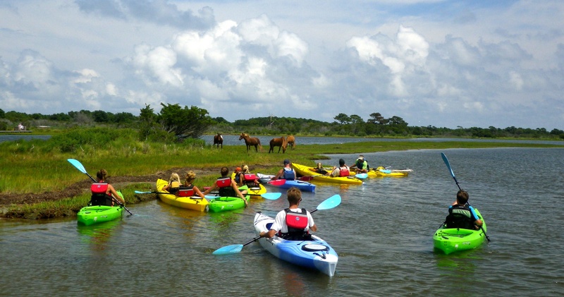 Wildlife Discovery Tour - Bayside Stand
