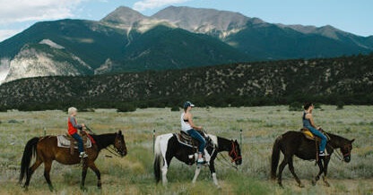 Horseback Trail Ride Adventure