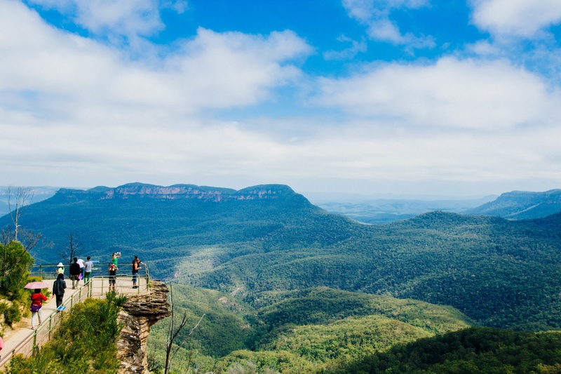 Roos, Blues & Views - Dave's Blue Mountains