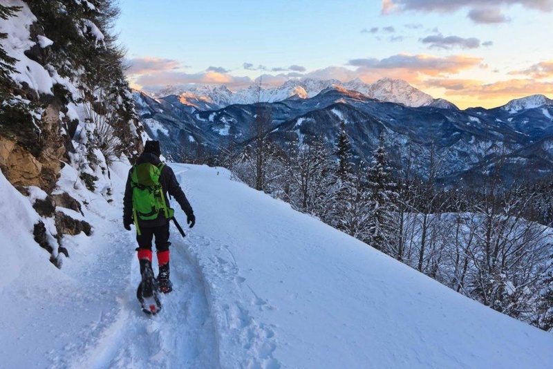 Guided Full-Day Snowshoe Tour