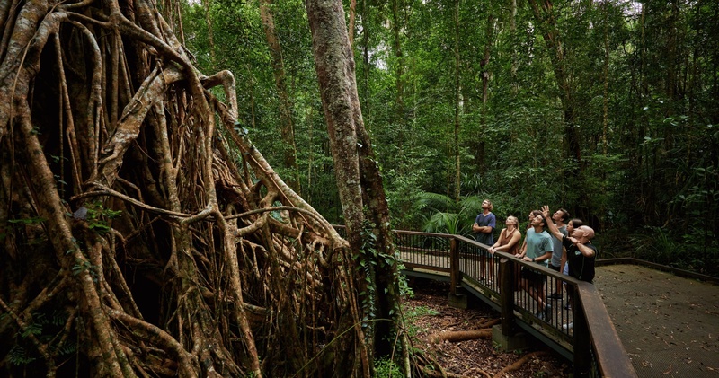 Atherton Tablelands Waterfalls Tour